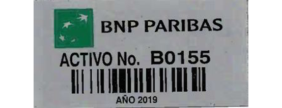 bnp