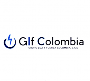 grupo luz y fuerza logo